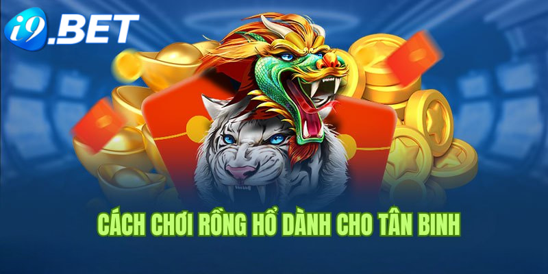 Game bài rồng hổ và luật chơi chi tiết