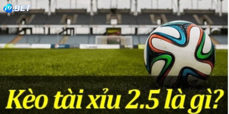 Kèo tài 2.5 là gì? 
