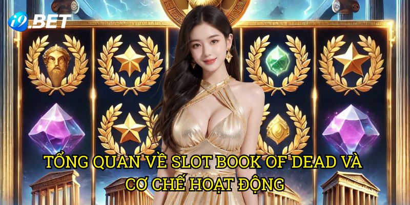 Tổng Quan Về Slot Book of Dead Và Cơ Chế Hoạt Động
